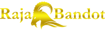 RAJABANDOT Logo